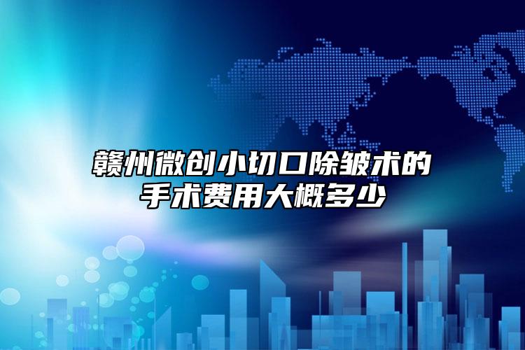 贛州微創(chuàng)小切口除皺術(shù)的手術(shù)費(fèi)用大概多少